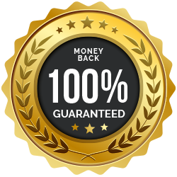 'A gold circular badge for a 100% money-back guarantee with a black center, five gold stars, and olive branches.'